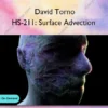 HS-211: Surface Advection – David Torno