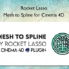 Mesh to Spline for Cinema 4D – Rocket Lasso