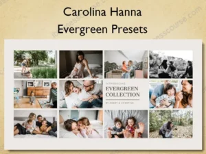 Evergreen Presets – Carolina Hanna