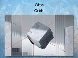 Grids – Obys
