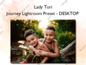 Journey Lightroom Preset - DESKTOP – Lady Tori