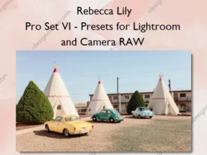 Pro Set VI – Presets for Lightroom and Camera RAW – Rebecca Lily