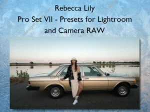 Pro Set VII – Presets for Lightroom and Camera RAW – Rebecca Lily