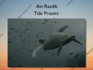 Tide Presets – Ain Raadik