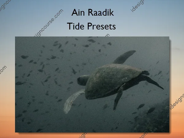 Tide Presets – Ain Raadik Tide Presets – Ain Raadik
