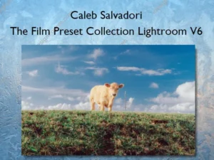 The Film Preset Collection Lightroom V6 – Caleb Salvadori