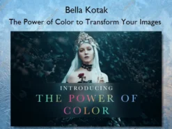 The Power of Color to Transform Your Images – Bella Kotak